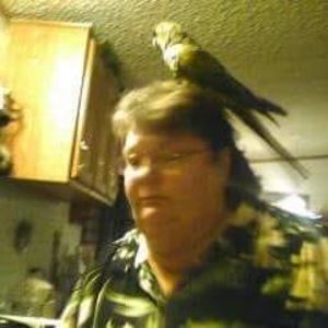 Meet your Posher, Sandy